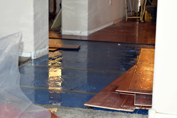 Professional Burst Pipe Cleanup technician working in Levittown, NY
